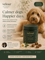 Velour Calming Chew — golden doodle lifestyle shot with product features