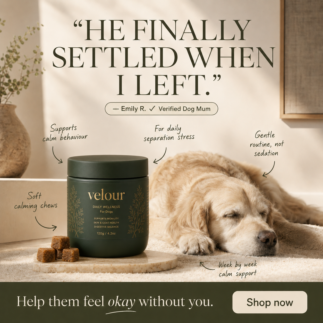 Velour calming chews — He finally settled when I left