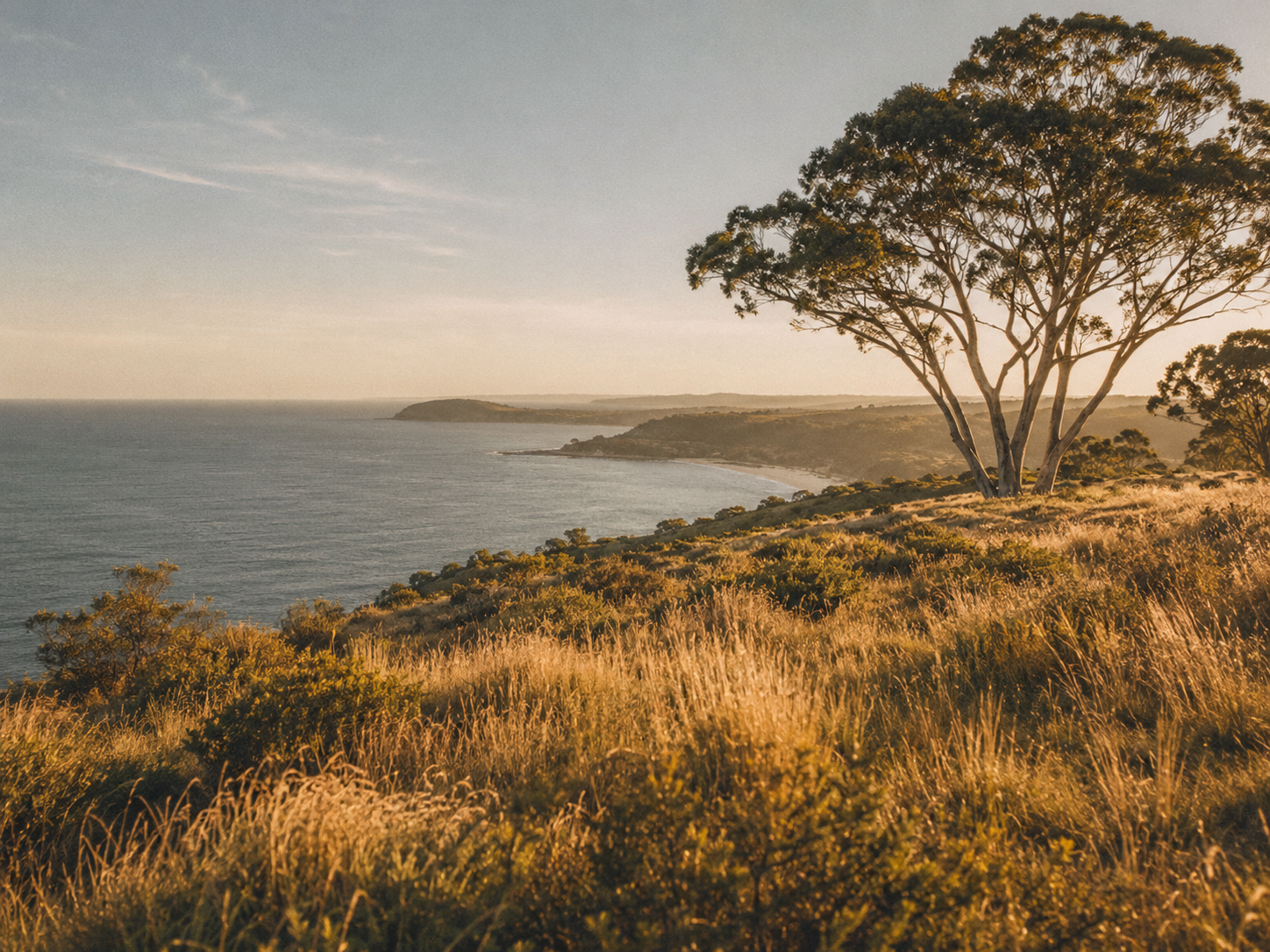 Made in Australia — velour calming chews